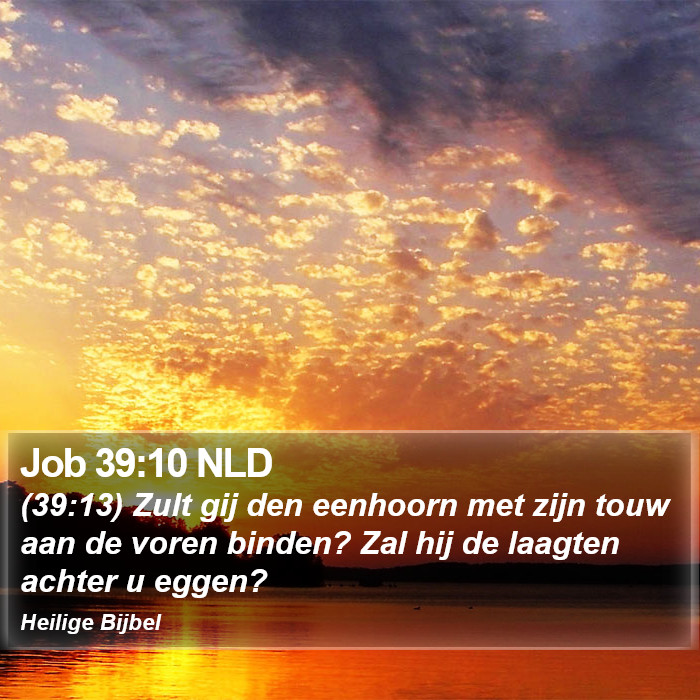 Job 39:10 NLD Bible Study