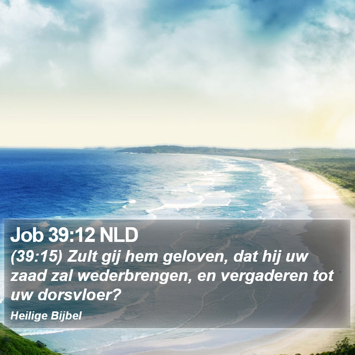 Job 39:12 NLD Bible Study