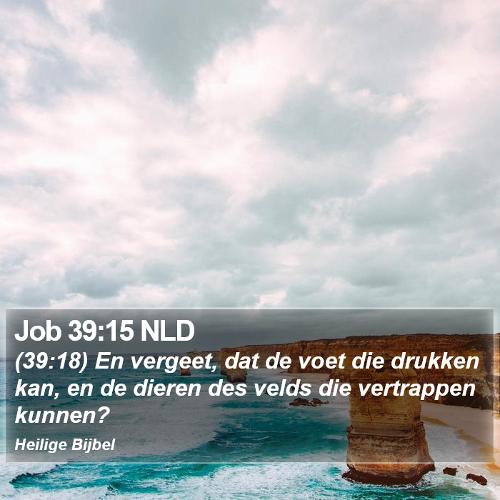 Job 39:15 NLD Bible Study