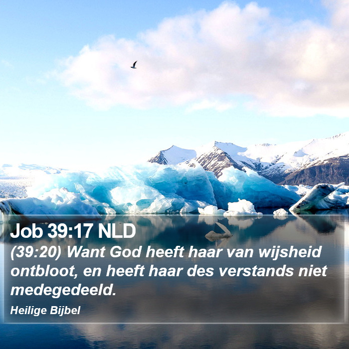 Job 39:17 NLD Bible Study