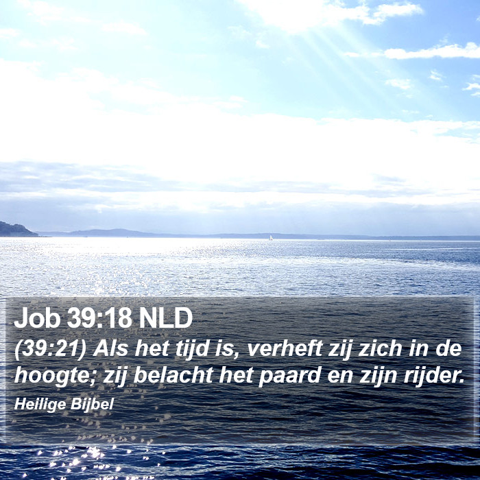 Job 39:18 NLD Bible Study