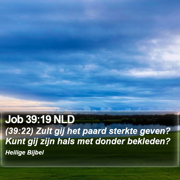 Job 39:19 NLD Bible Study