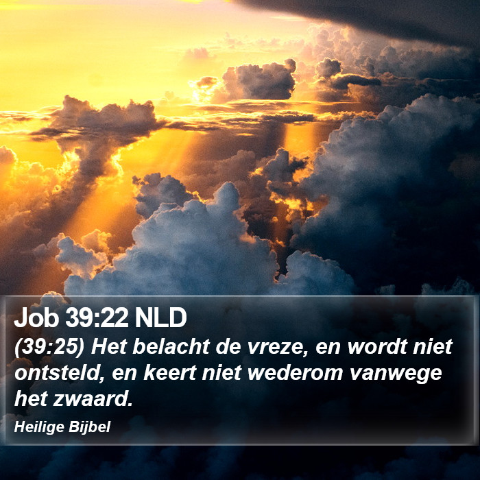 Job 39:22 NLD Bible Study