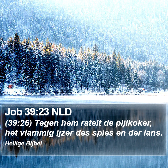 Job 39:23 NLD Bible Study