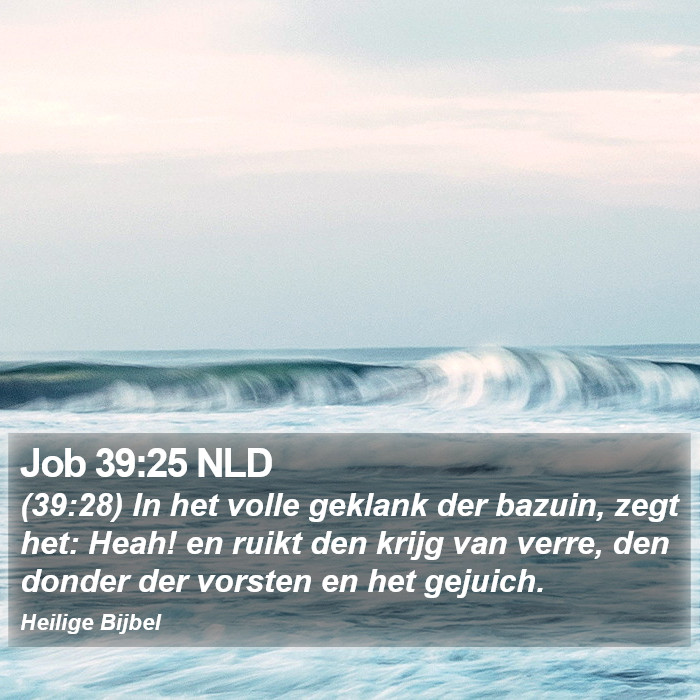 Job 39:25 NLD Bible Study