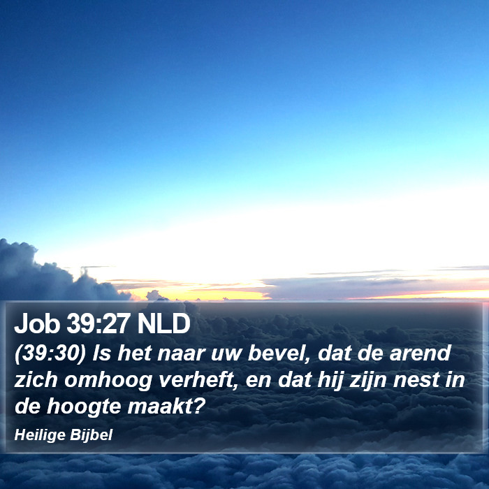 Job 39:27 NLD Bible Study