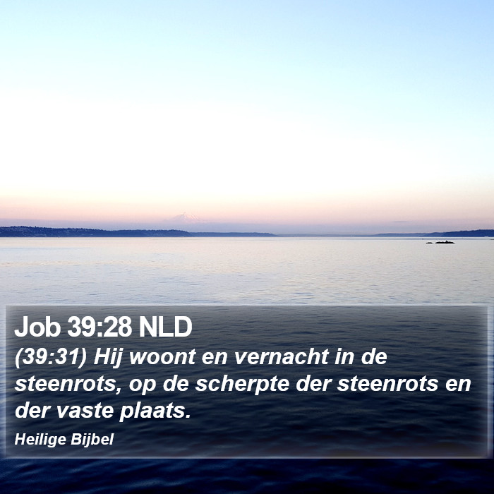 Job 39:28 NLD Bible Study