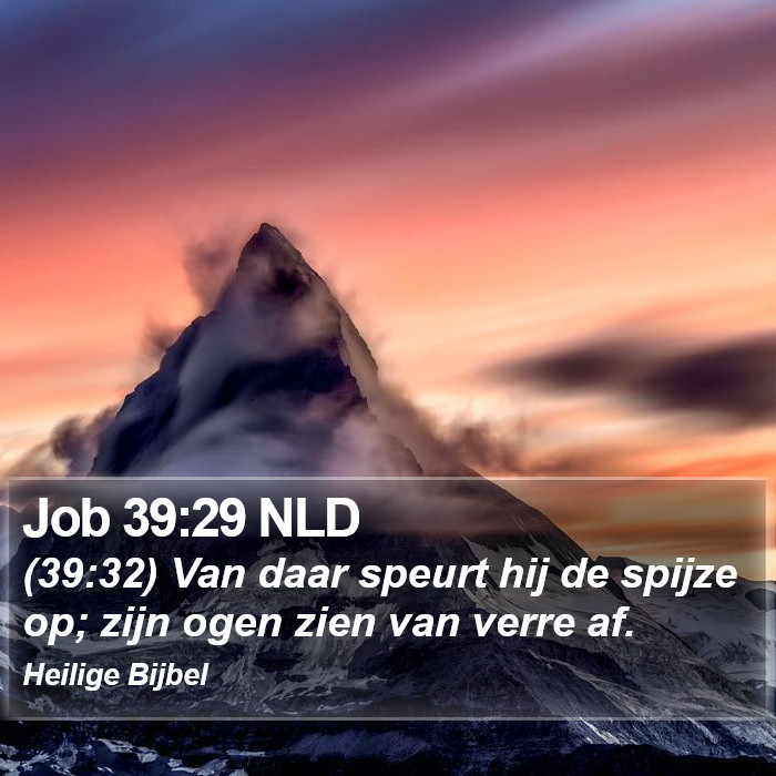 Job 39:29 NLD Bible Study