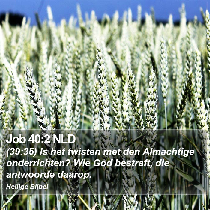 Job 40:2 NLD Bible Study