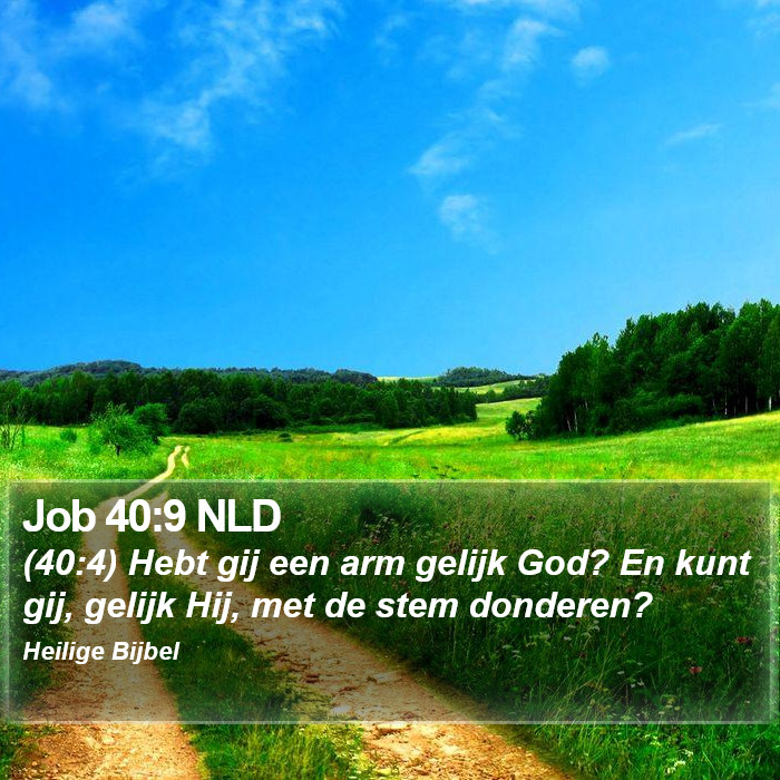 Job 40:9 NLD Bible Study