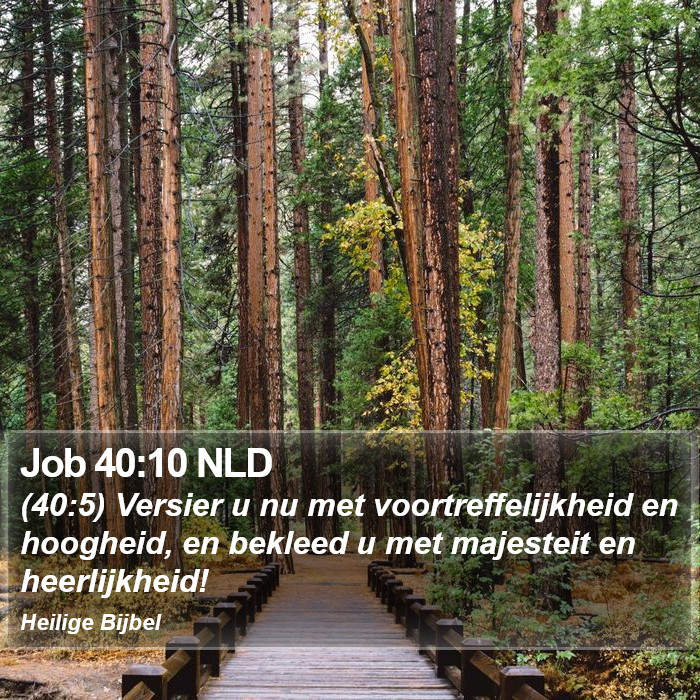 Job 40:10 NLD Bible Study