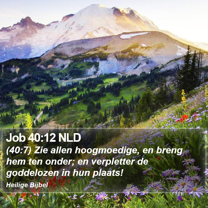 Job 40:12 NLD Bible Study