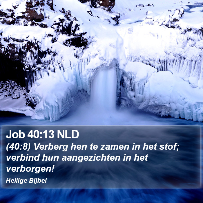 Job 40:13 NLD Bible Study