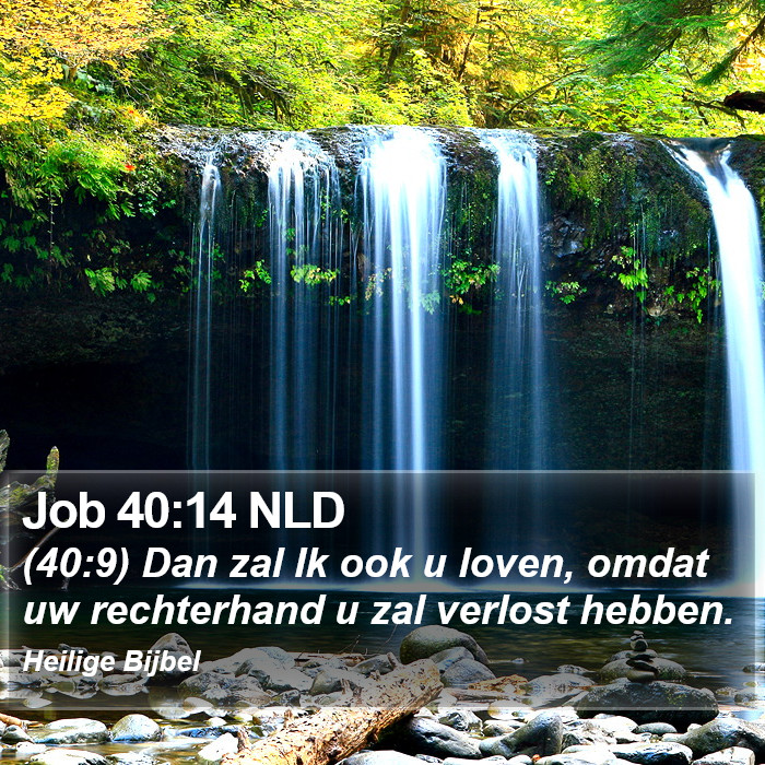 Job 40:14 NLD Bible Study