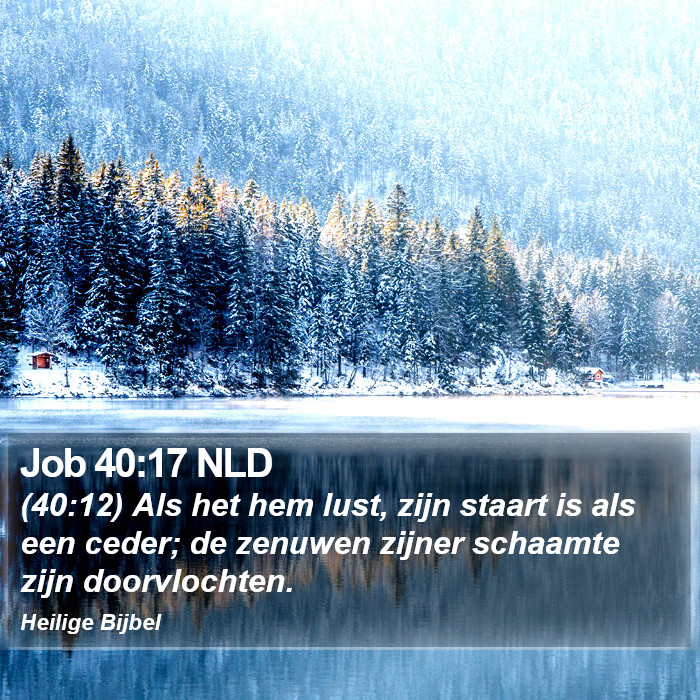 Job 40:17 NLD Bible Study