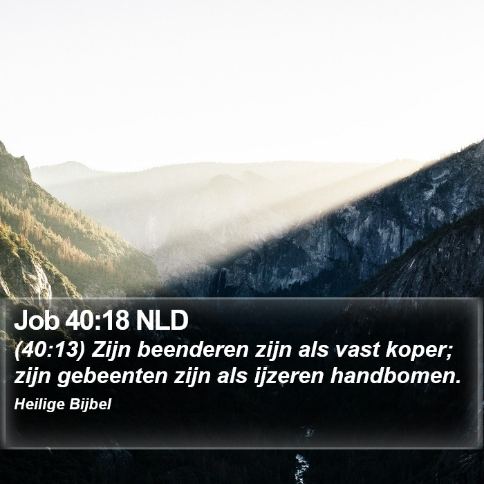 Job 40:18 NLD Bible Study