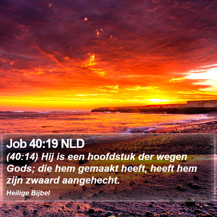 Job 40:19 NLD Bible Study