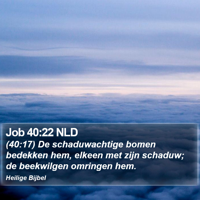 Job 40:22 NLD Bible Study