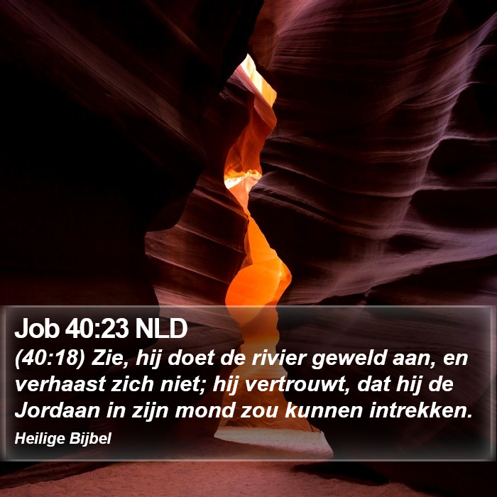 Job 40:23 NLD Bible Study