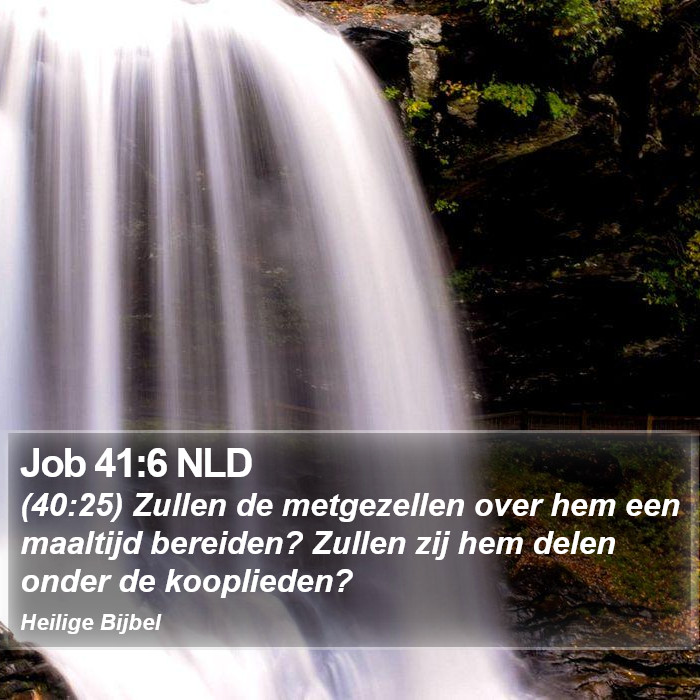 Job 41:6 NLD Bible Study