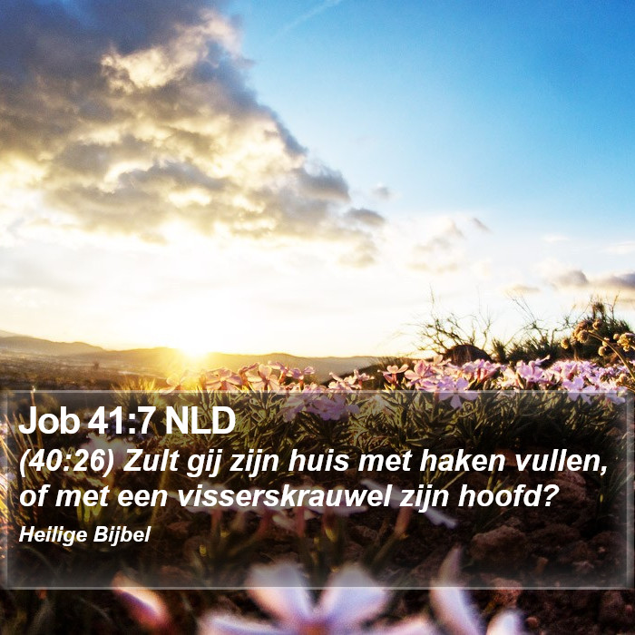 Job 41:7 NLD Bible Study