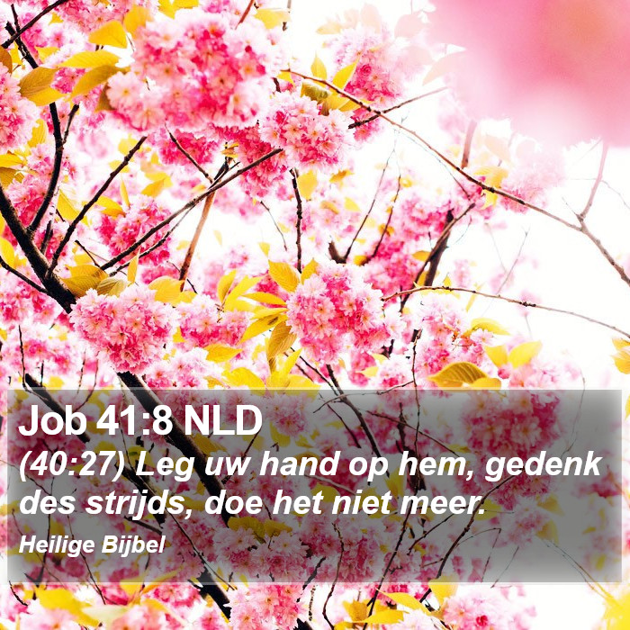 Job 41:8 NLD Bible Study