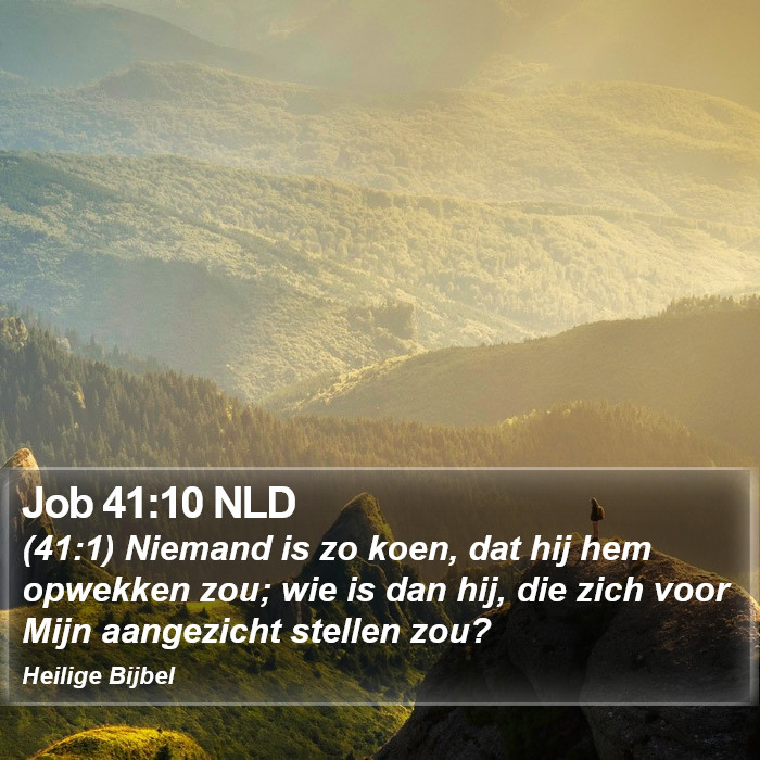 Job 41:10 NLD Bible Study