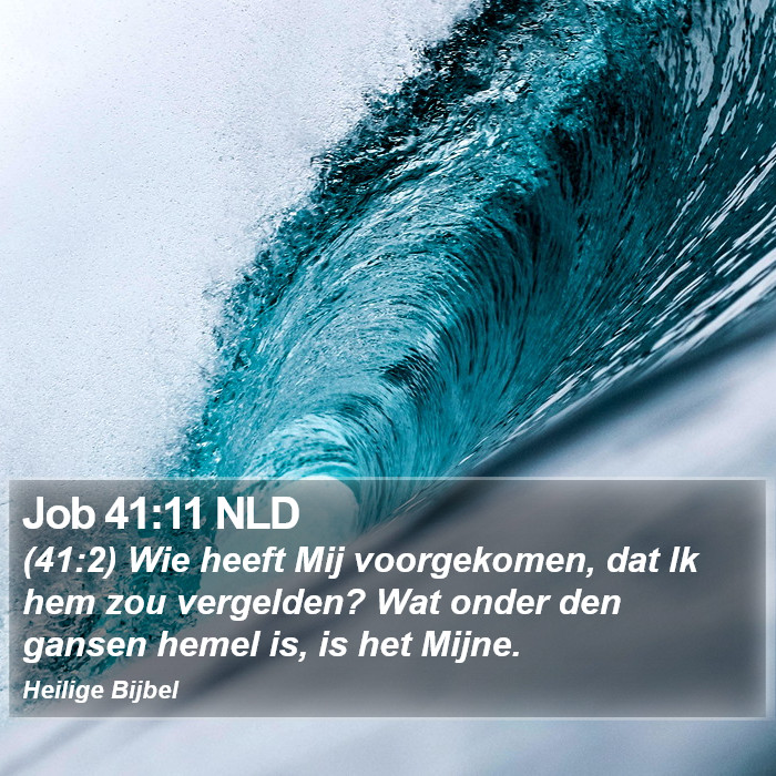 Job 41:11 NLD Bible Study