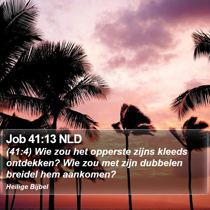 Job 41:13 NLD Bible Study