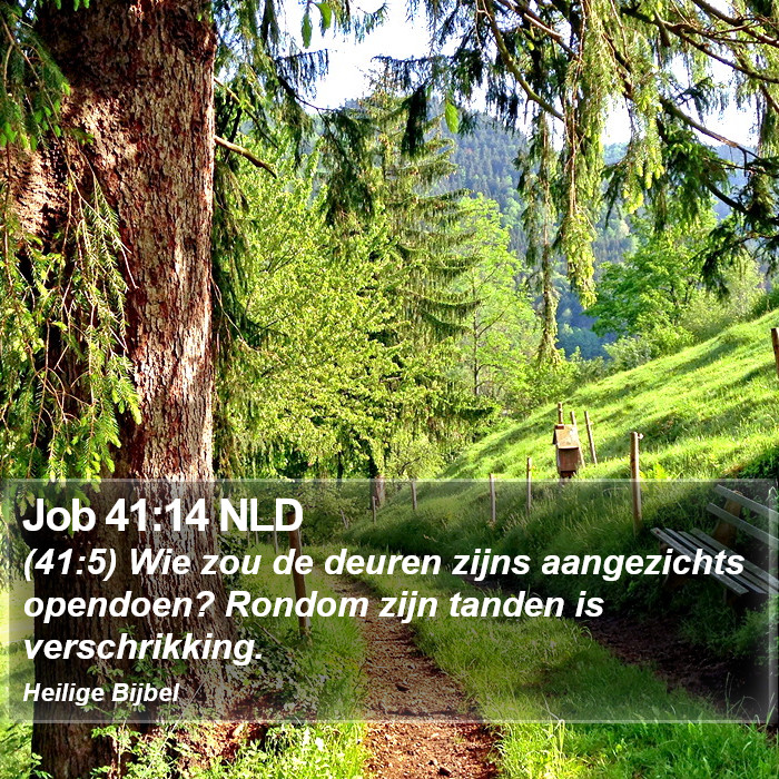 Job 41:14 NLD Bible Study