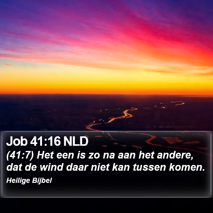 Job 41:16 NLD Bible Study