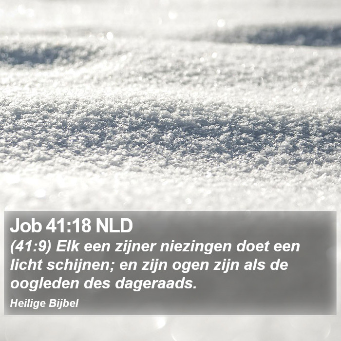 Job 41:18 NLD Bible Study