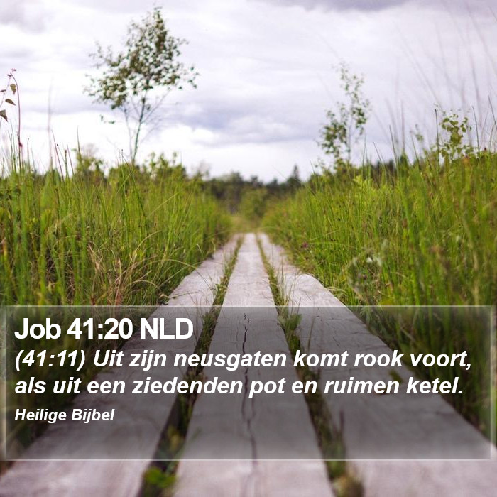 Job 41:20 NLD Bible Study