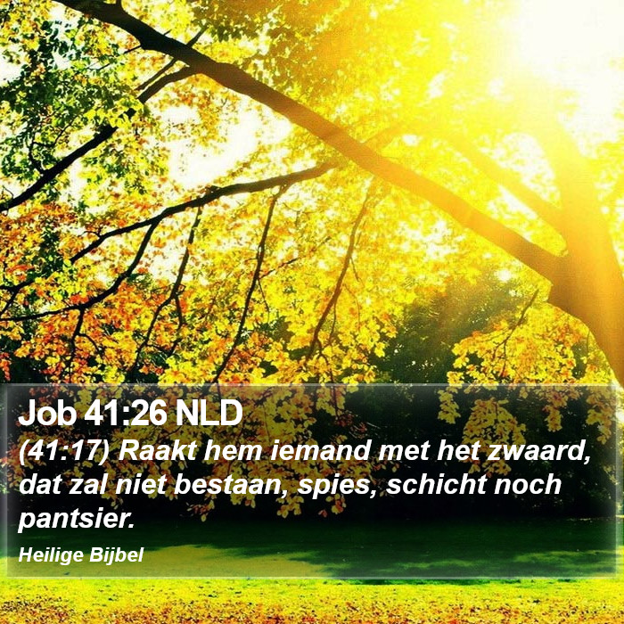 Job 41:26 NLD Bible Study