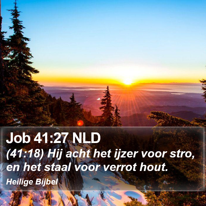 Job 41:27 NLD Bible Study