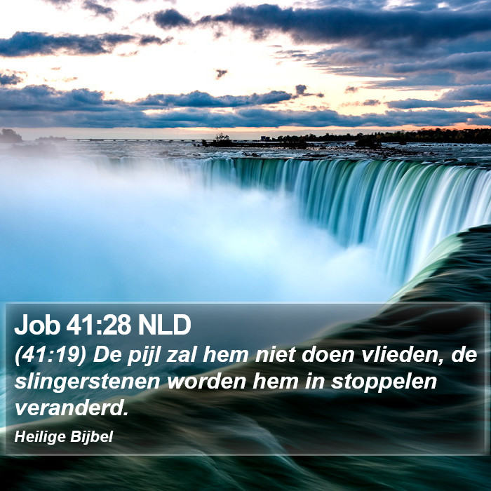 Job 41:28 NLD Bible Study