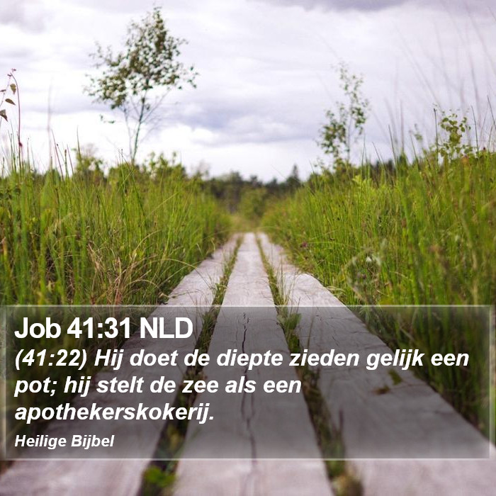 Job 41:31 NLD Bible Study