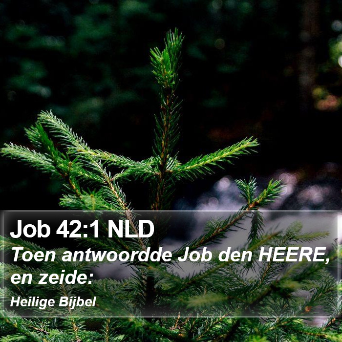 Job 42:1 NLD Bible Study