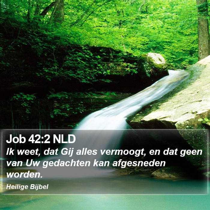 Job 42:2 NLD Bible Study