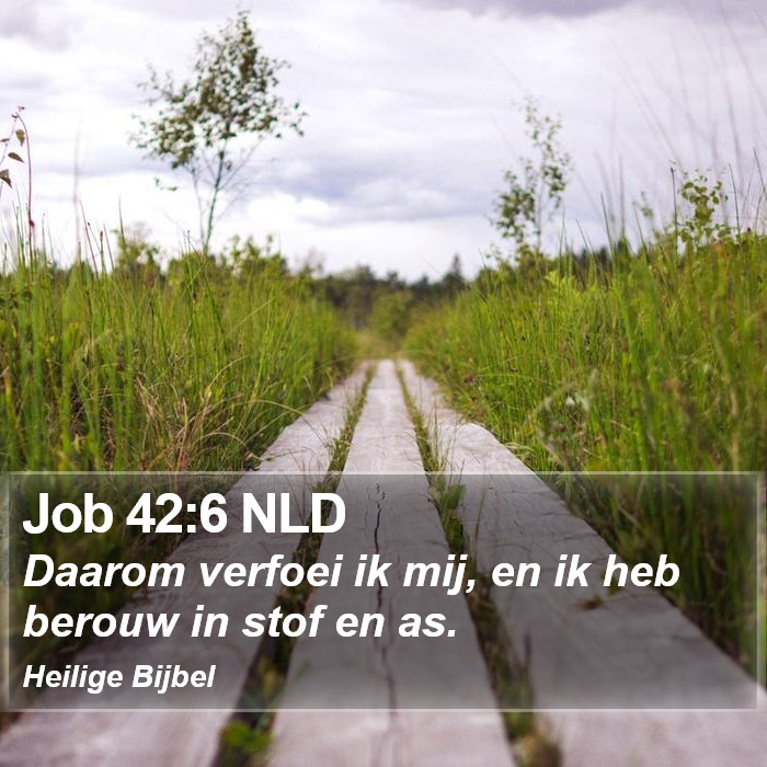 Job 42:6 NLD Bible Study