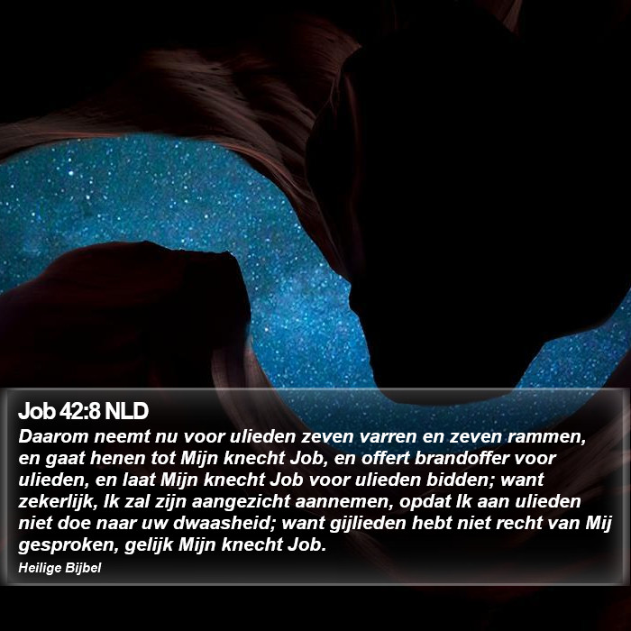 Job 42:8 NLD Bible Study