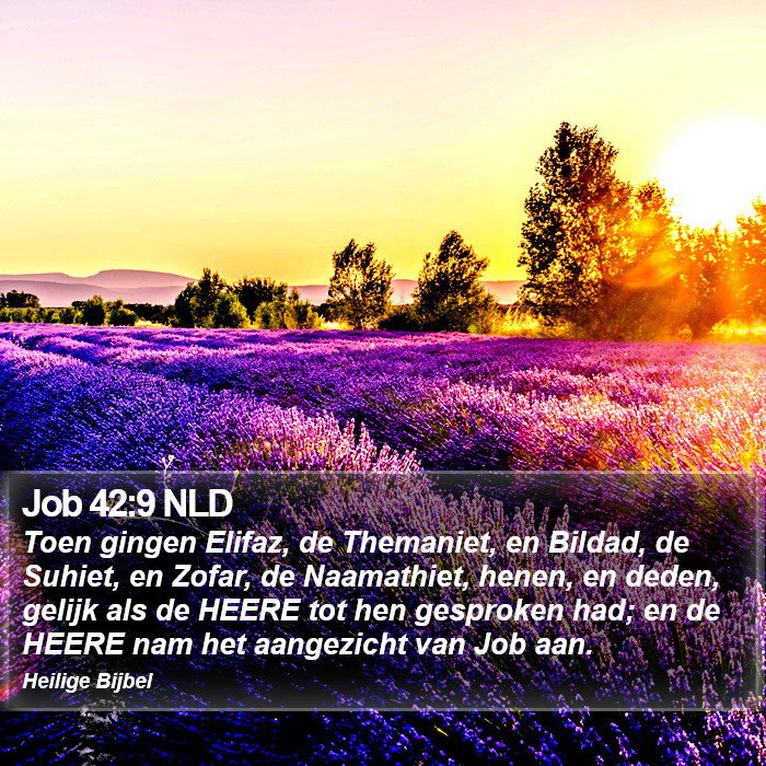 Job 42:9 NLD Bible Study