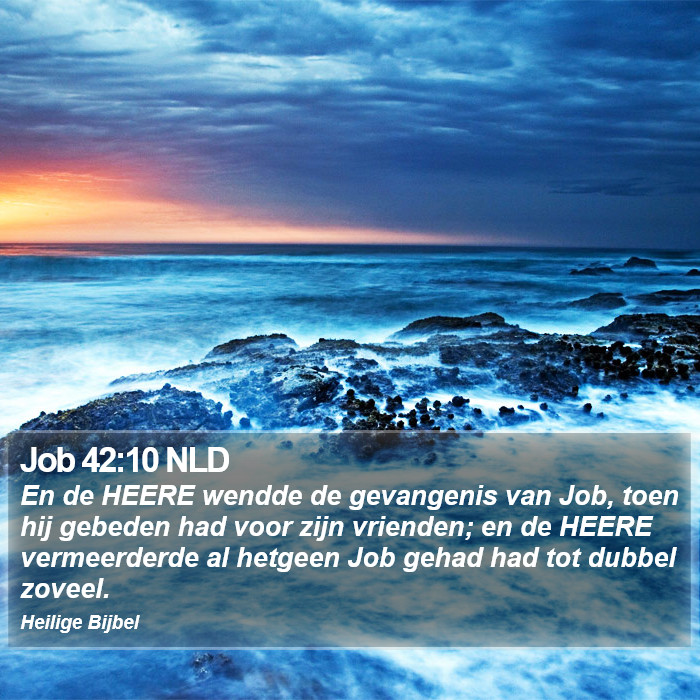 Job 42:10 NLD Bible Study