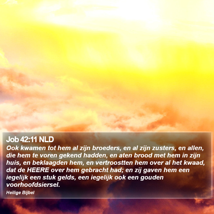 Job 42:11 NLD Bible Study