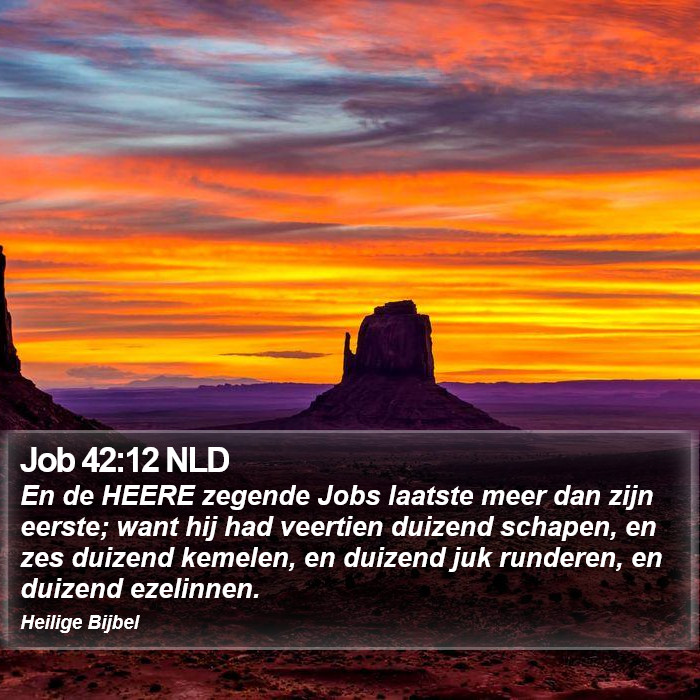Job 42:12 NLD Bible Study