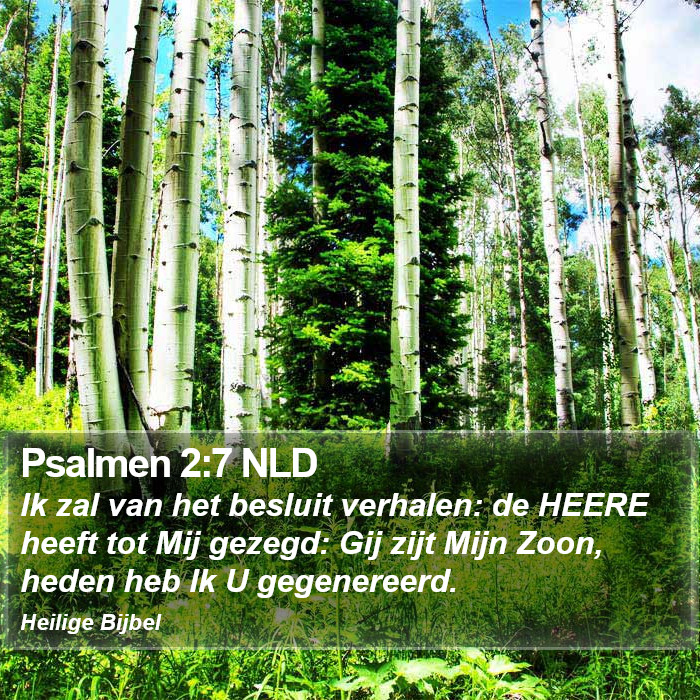 Psalmen 2:7 NLD Bible Study