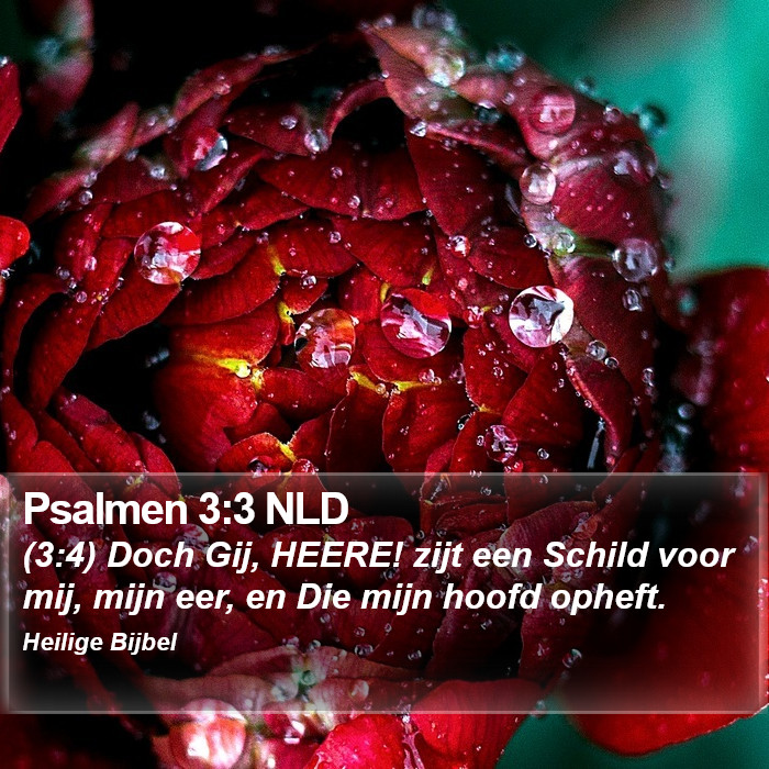 Psalmen 3:3 NLD Bible Study