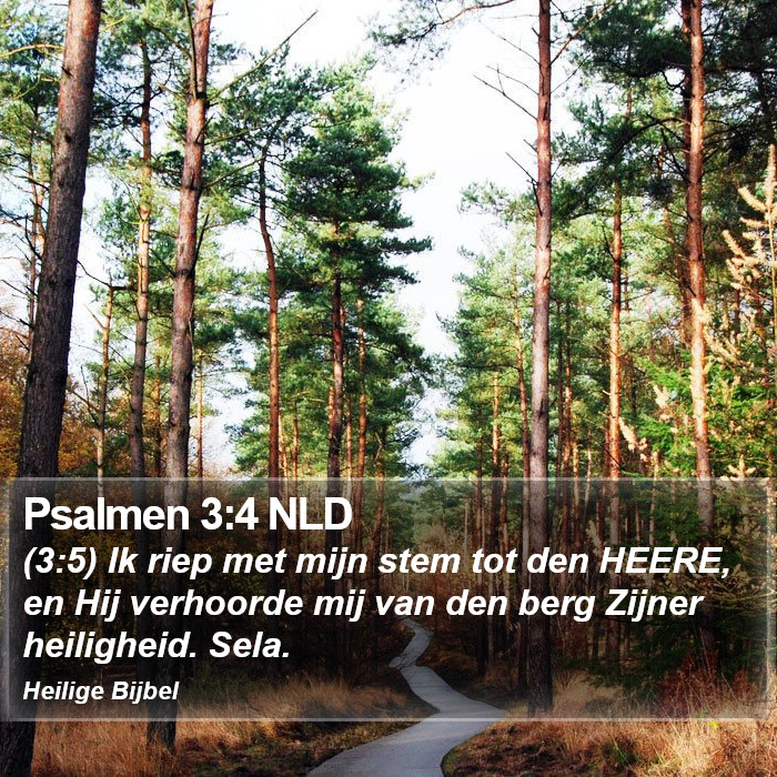 Psalmen 3:4 NLD Bible Study
