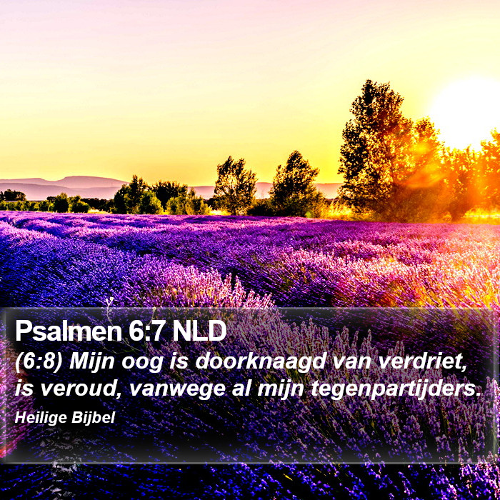 Psalmen 6:7 NLD Bible Study