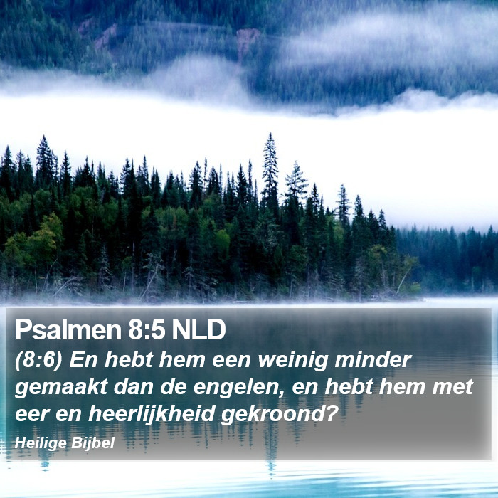 Psalmen 8:5 NLD Bible Study